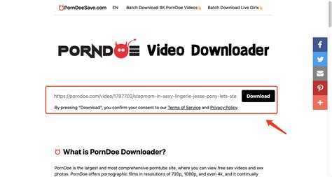 www porndoe.com|PornDoe